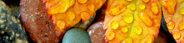 MPSI Psychotherapy Center